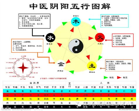 五行相生相剋關係|五行相生相剋的形成原因與化解方法